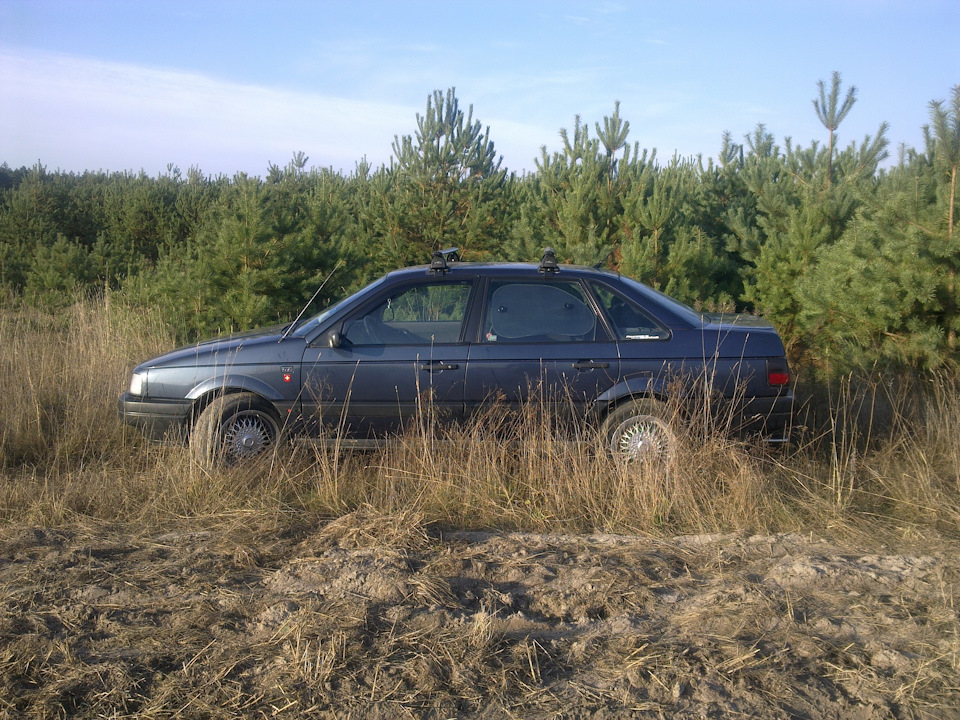 Приємне воскресіння вдалося. 4