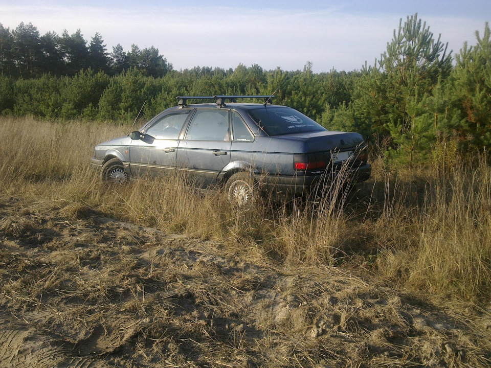 Приємне воскресіння вдалося. 3