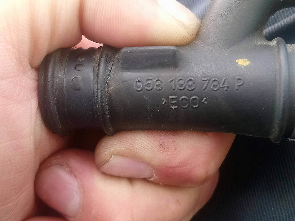 Вирішив трохи полазити 1