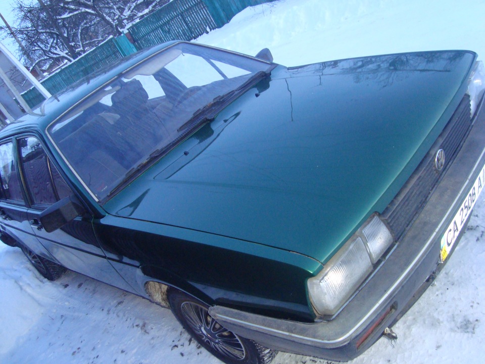 Зелений ВІН був… 4