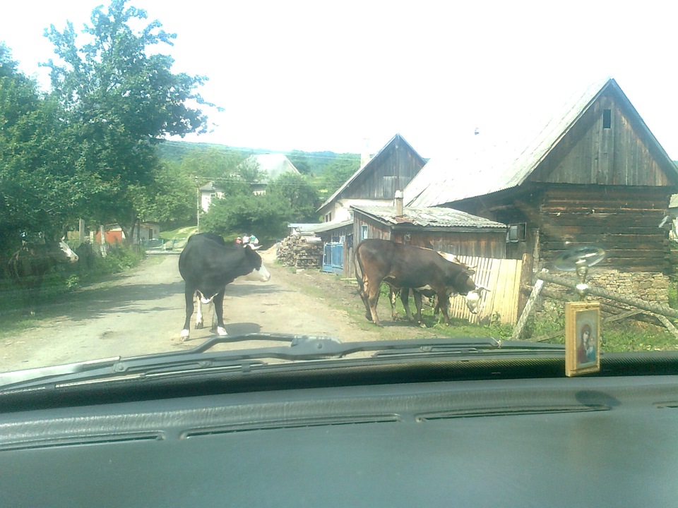 Прокотився =) 1