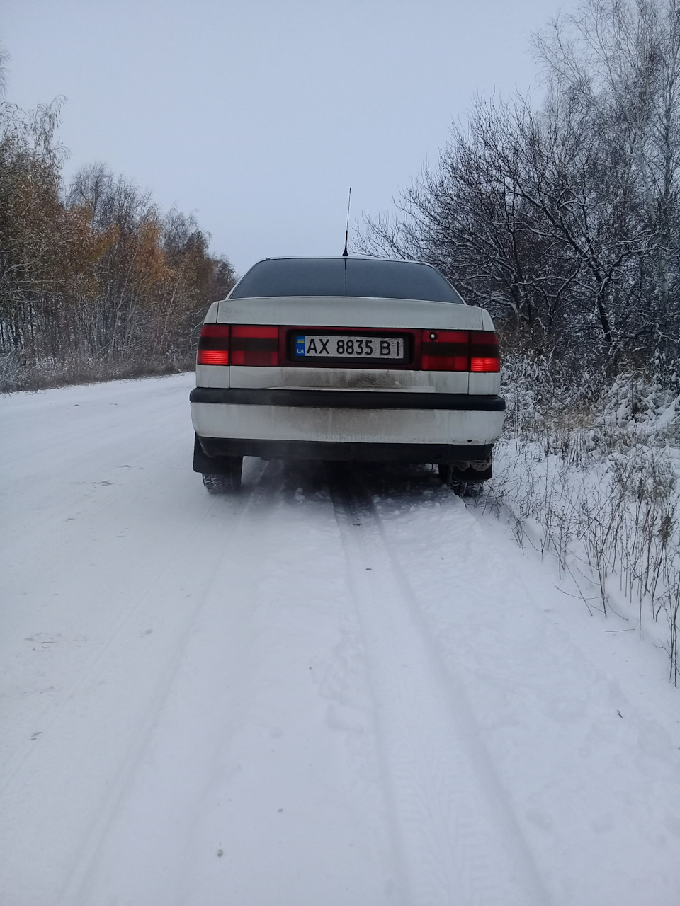 З першим снігом! 3
