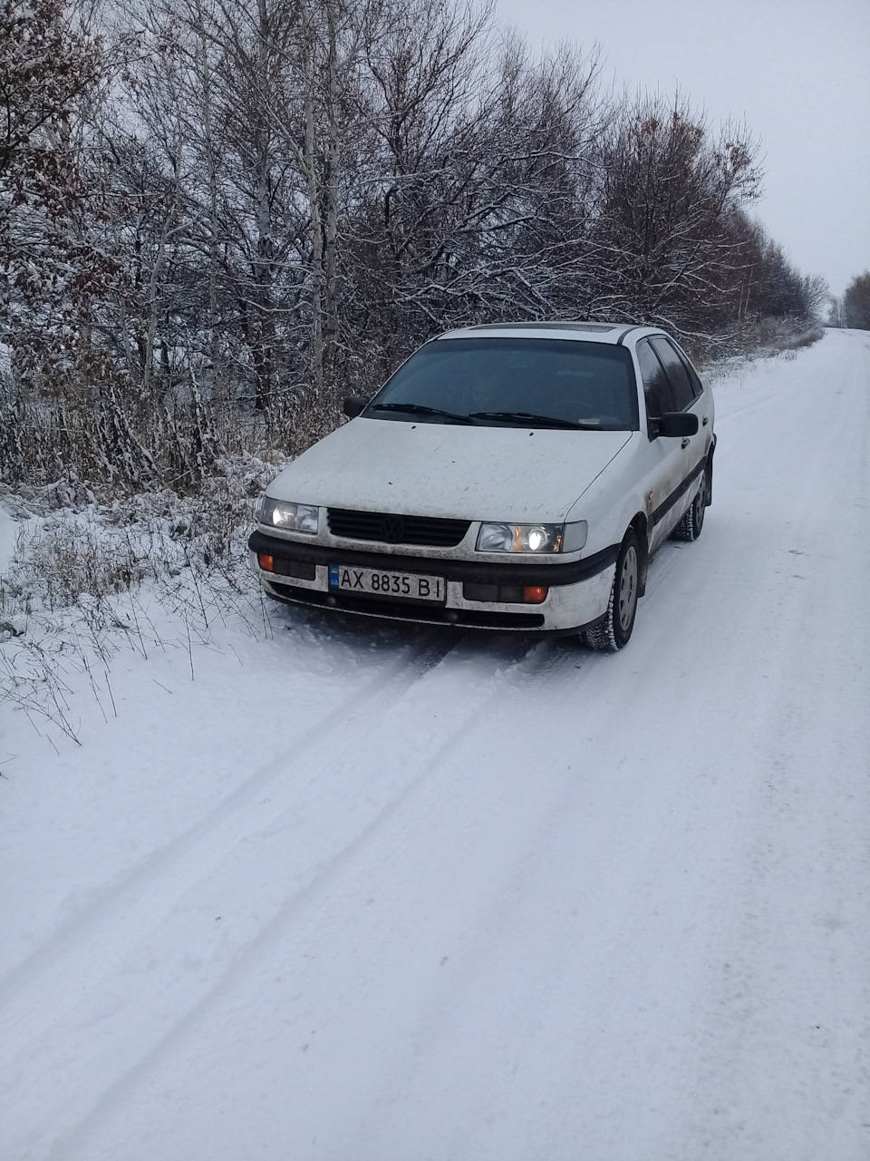 З першим снігом! 4