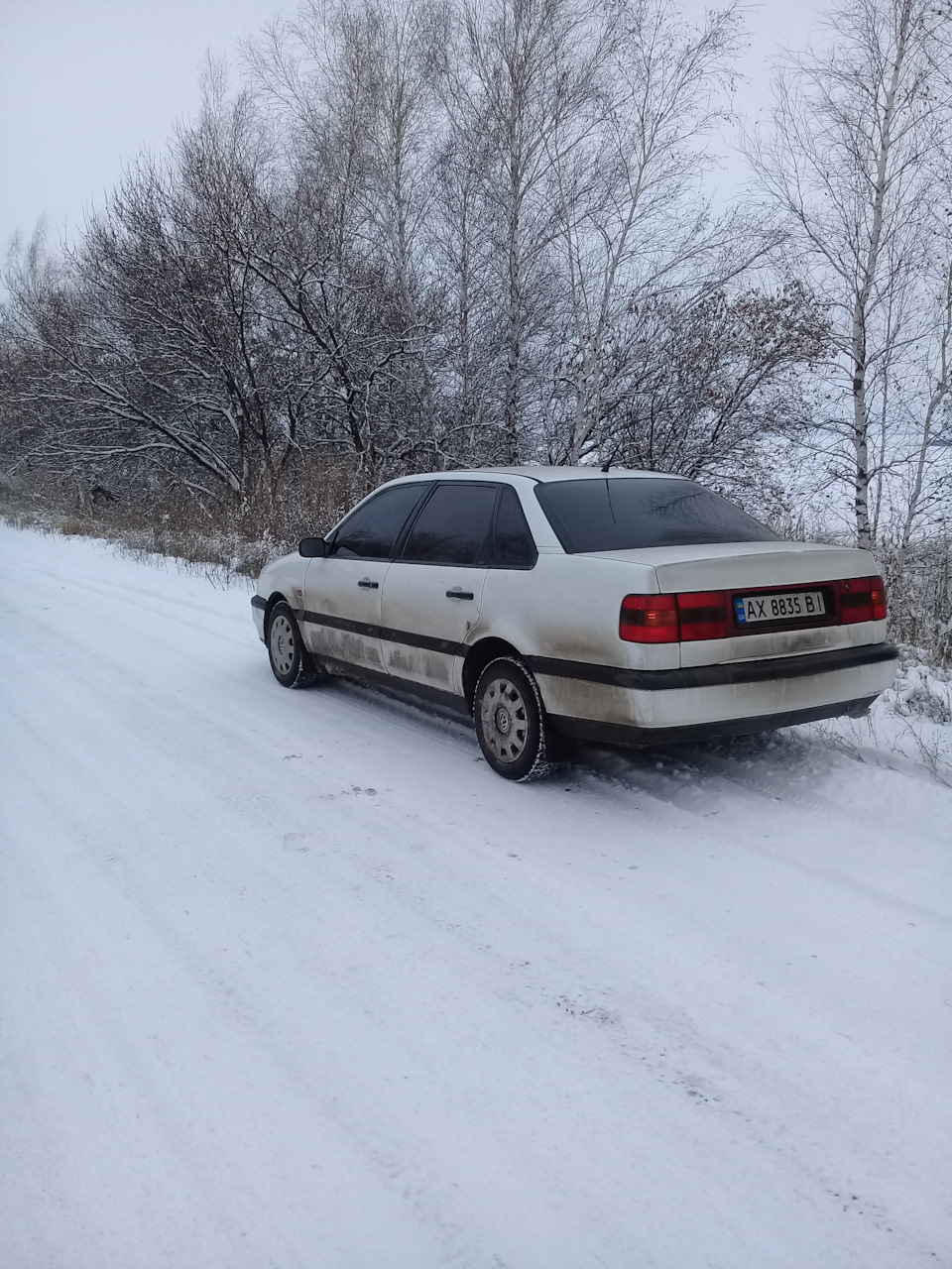 З першим снігом! 2