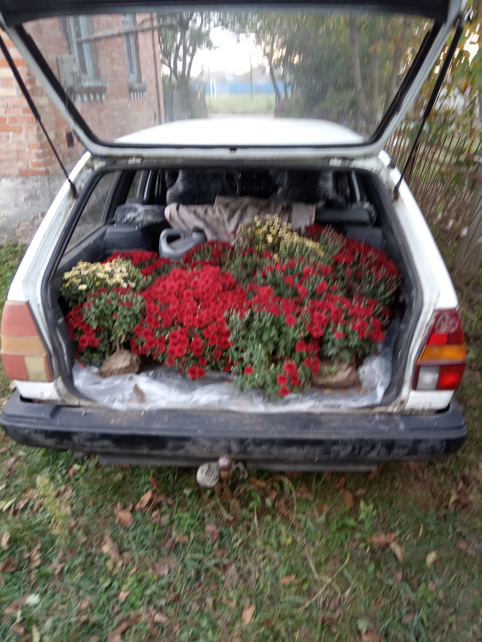 Заміна генератора 4