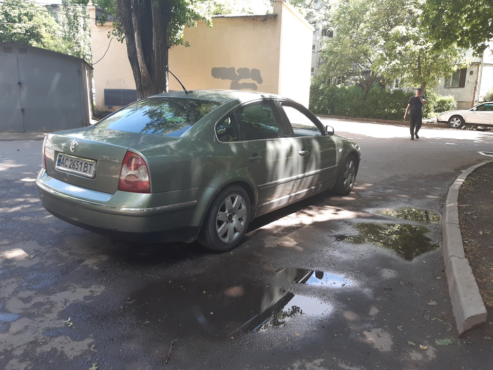 Гвинти 5