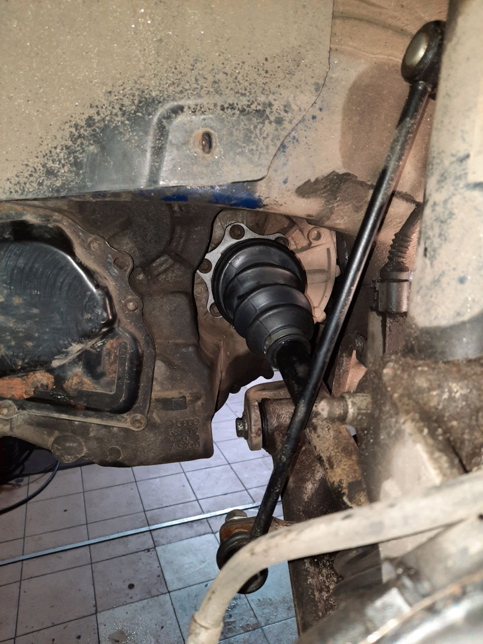 Запис#10(Шрус) 2