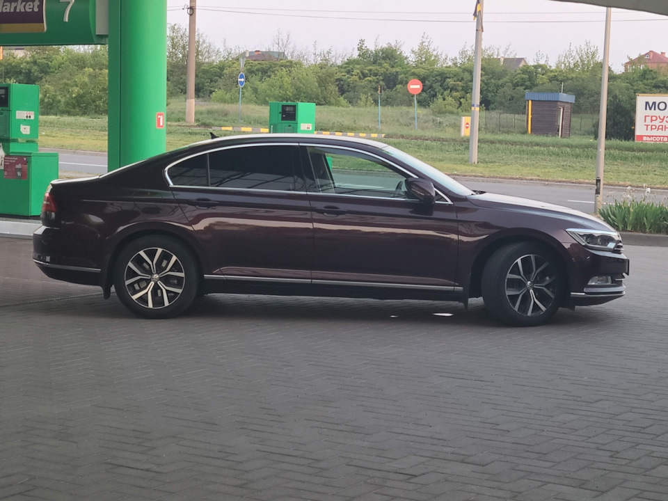Справи давно минулих років 1