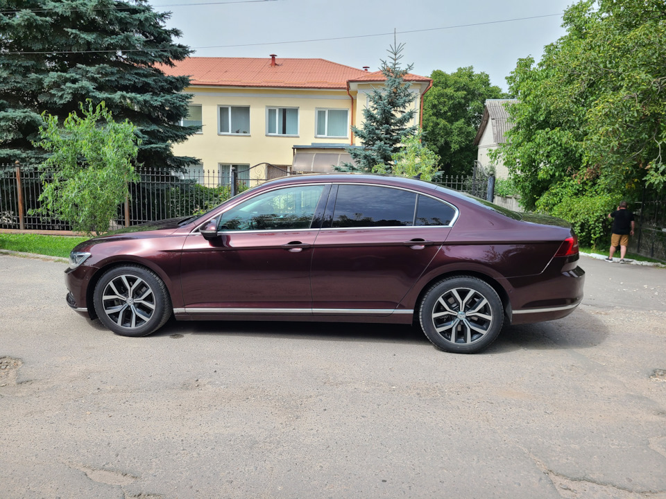 Такі гарні фото Passat B8 3