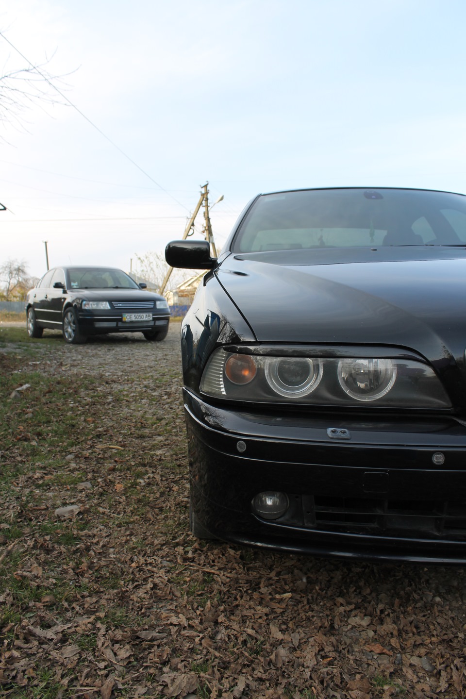 BMW & VW 2