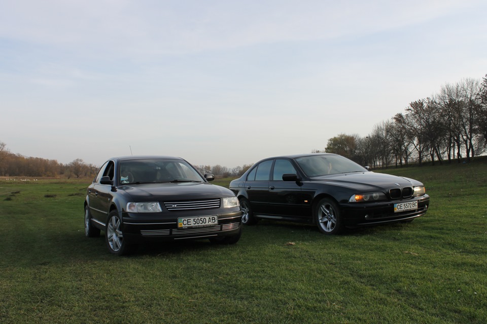 BMW & VW 5