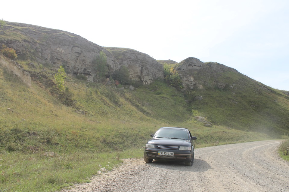 Фото на природі) 2