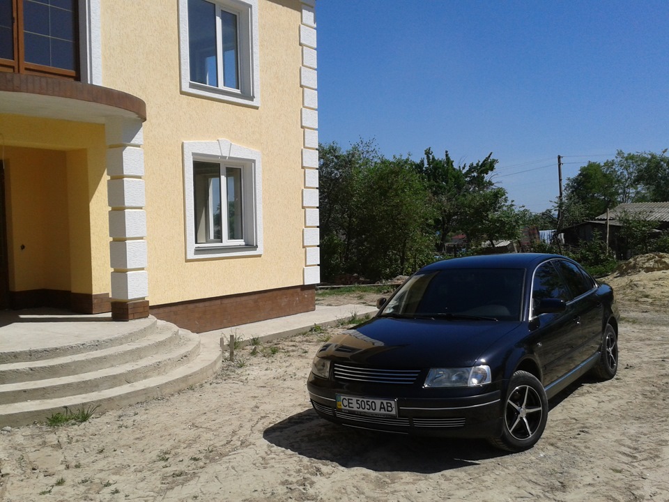 Помив пасика 4