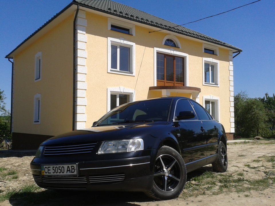 Помив пасика 1