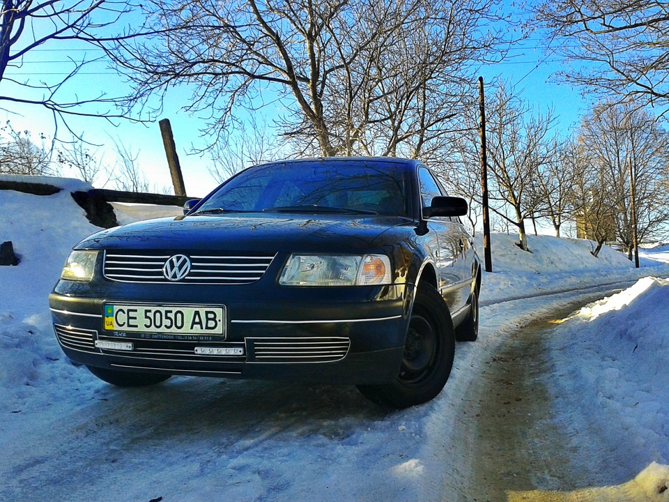 зима 2013 3