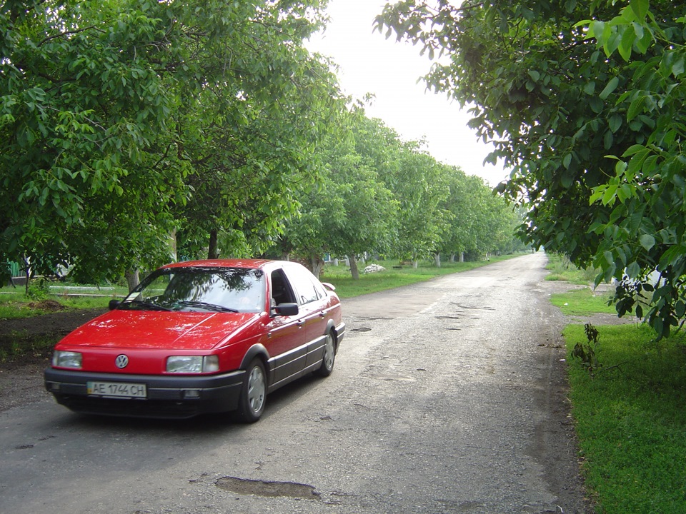 Літні фотки 1