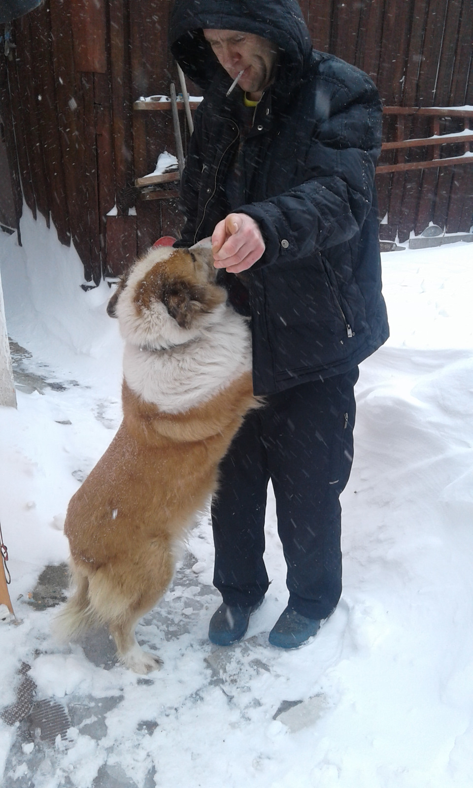 Європа в шоці, а нам все одно. 2