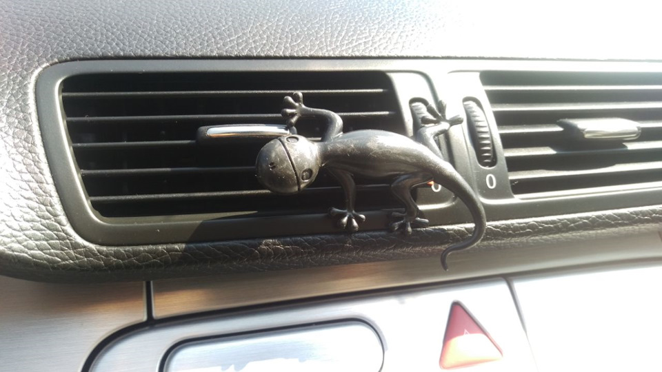 Duftgecko 2