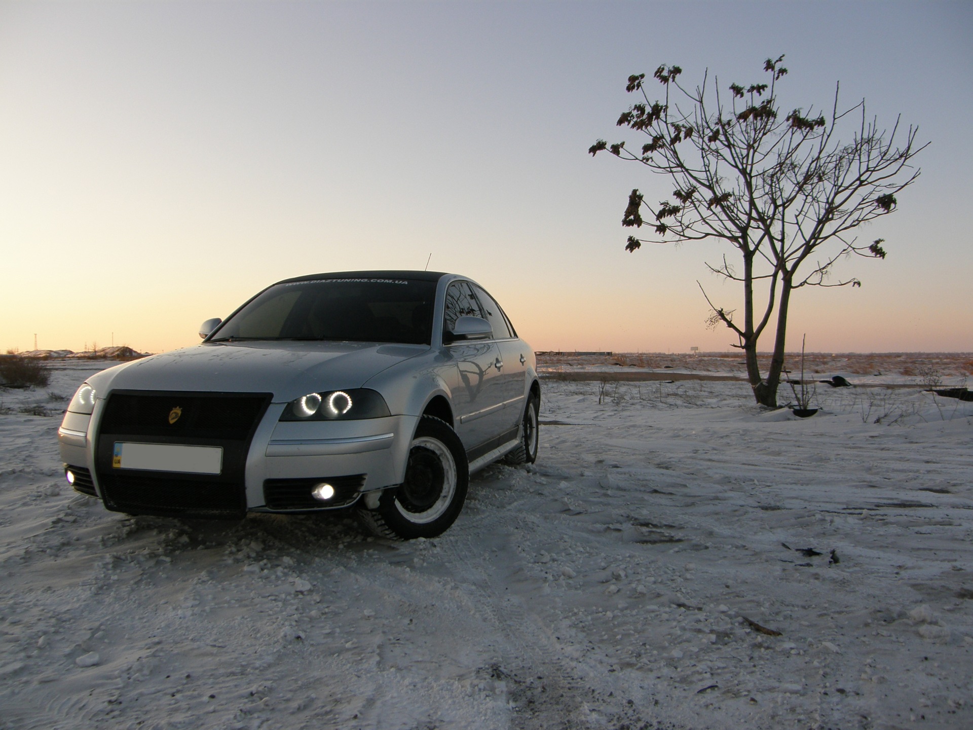 Касатка Winter Edition 2