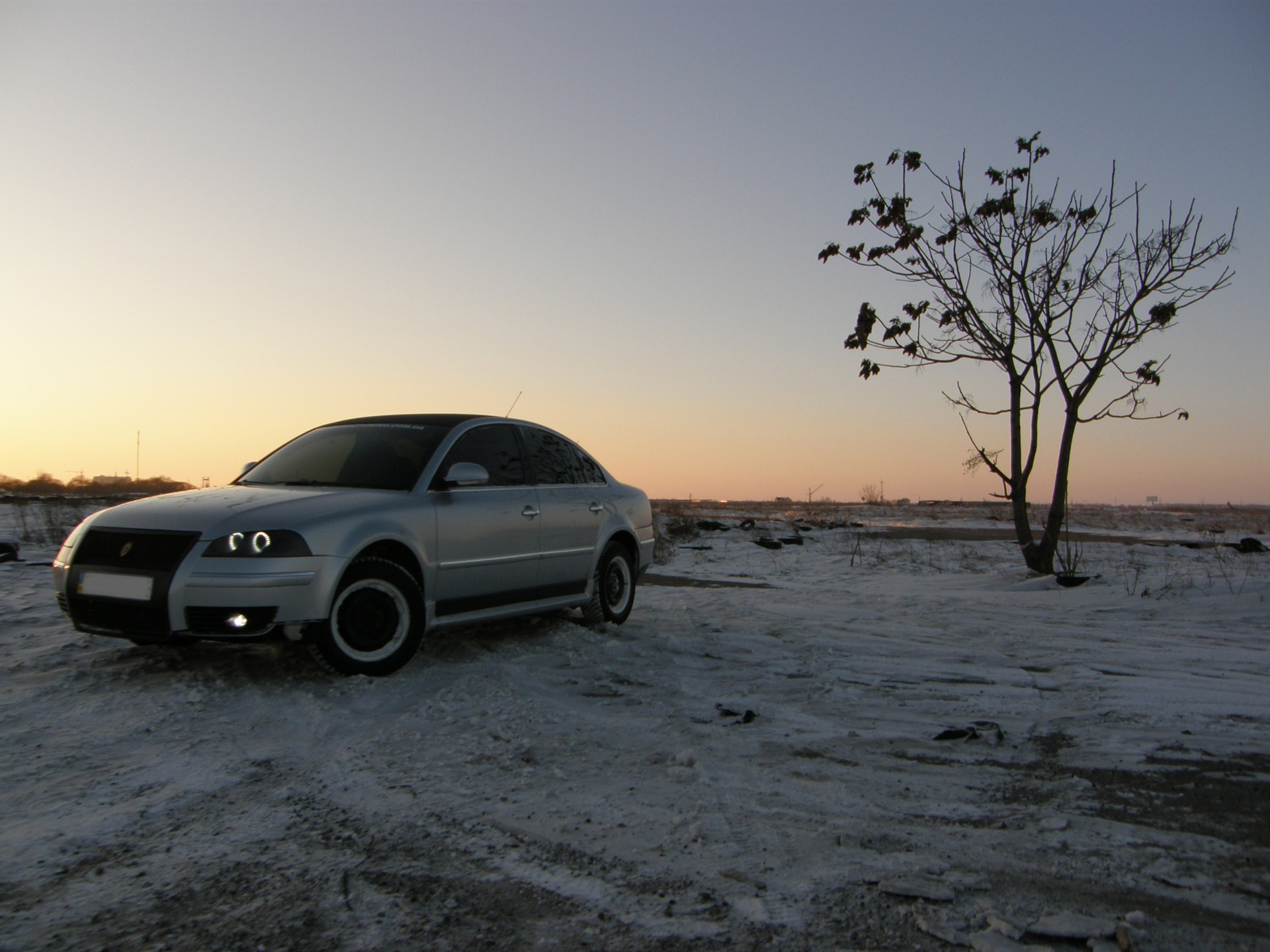 Касатка Winter Edition 1