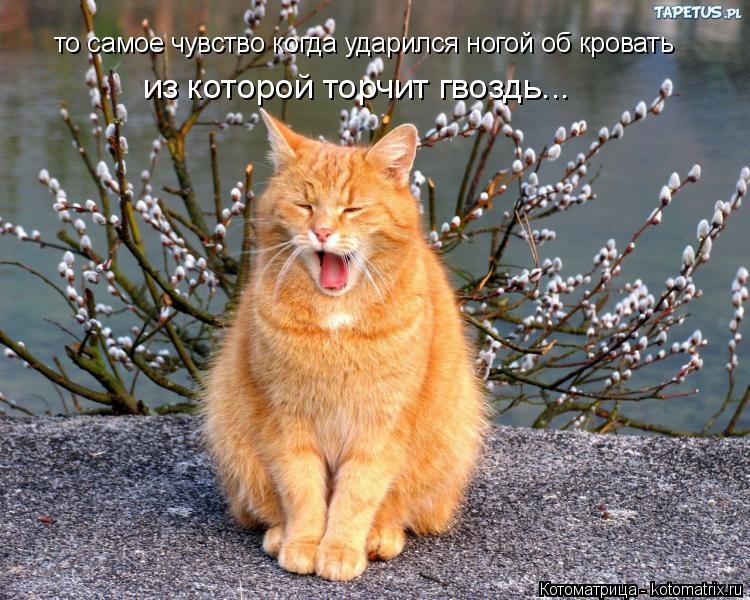 Пожежа. Кріплення вогнегасника. 2