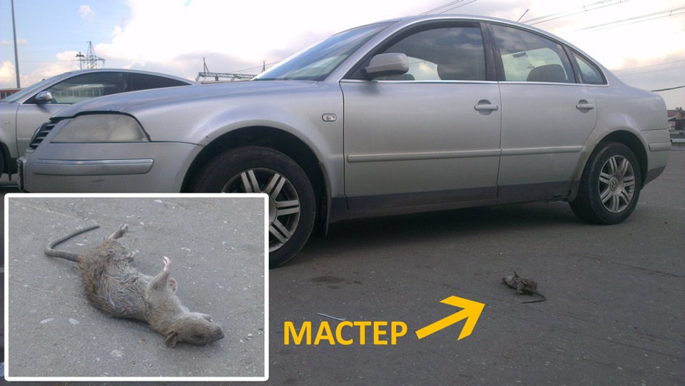 Зміна котушки запалювання. 2