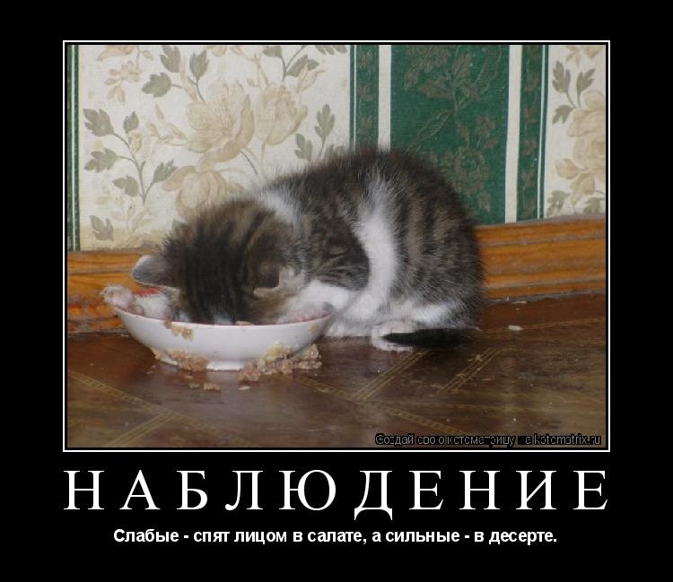 Зимова гума, історія у двох томах :) 1