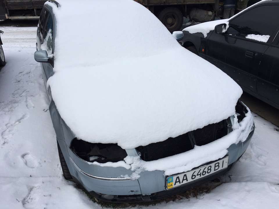 Вартий проліск 1