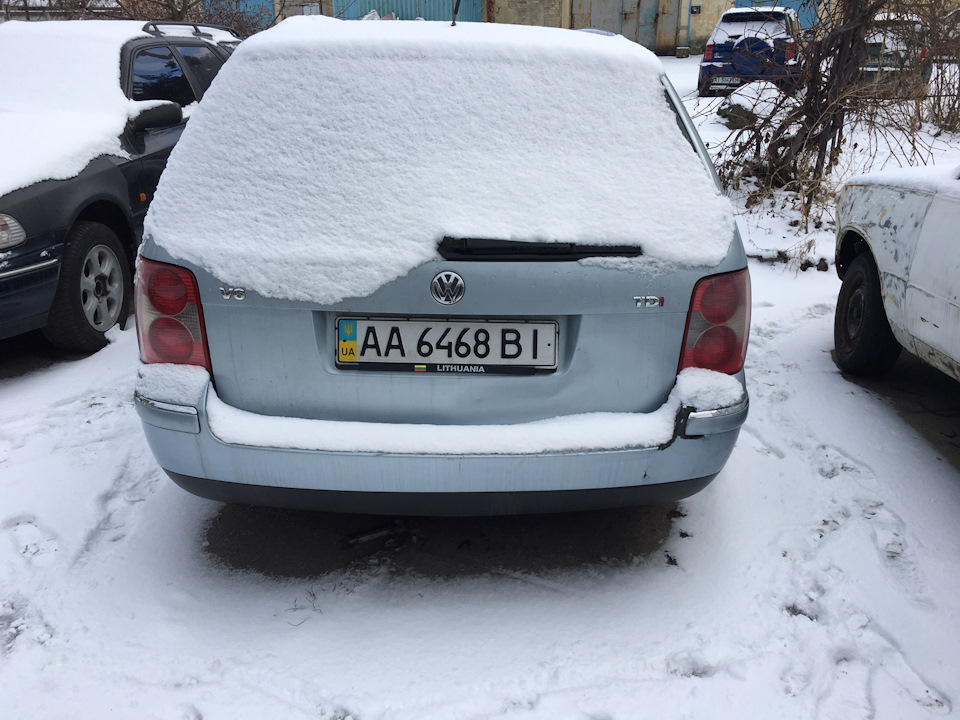 Вартий проліск 2