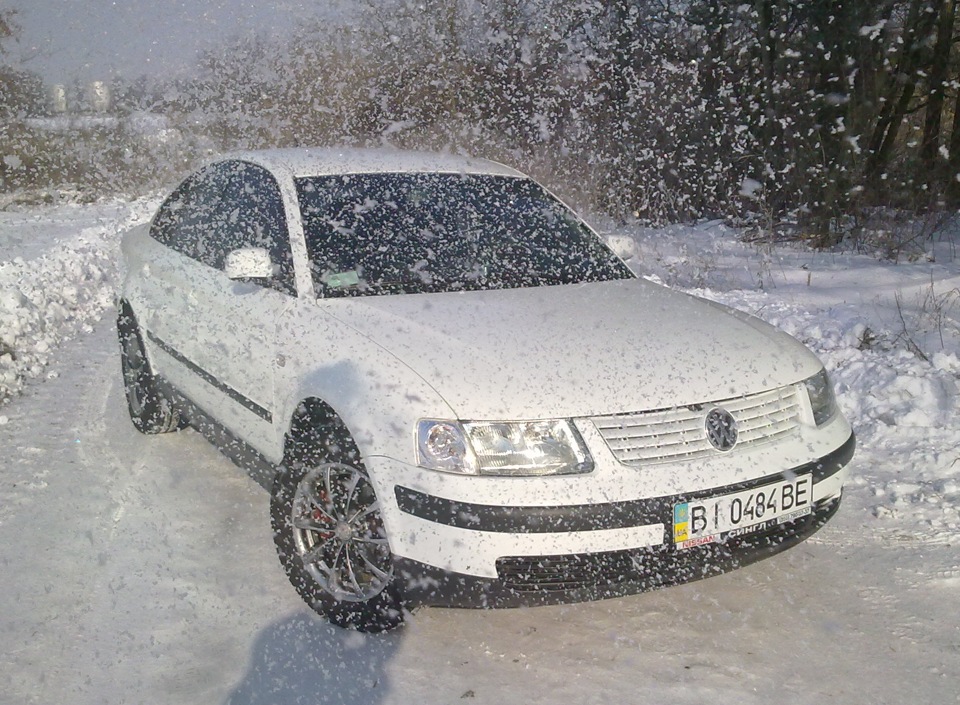 сніговий кіт 1