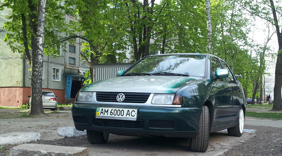 Дисулі 3
