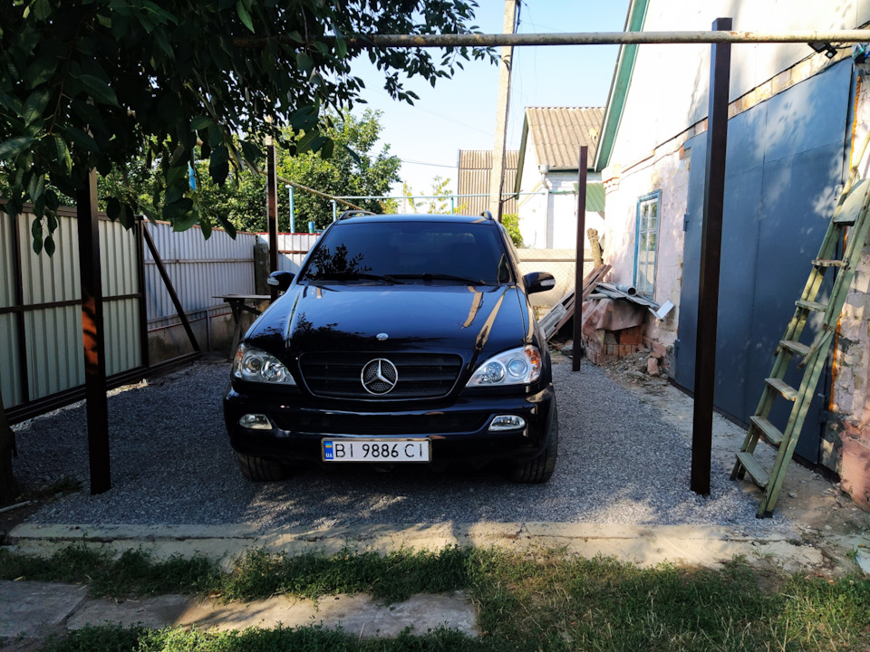 Новий у сім'ї 1