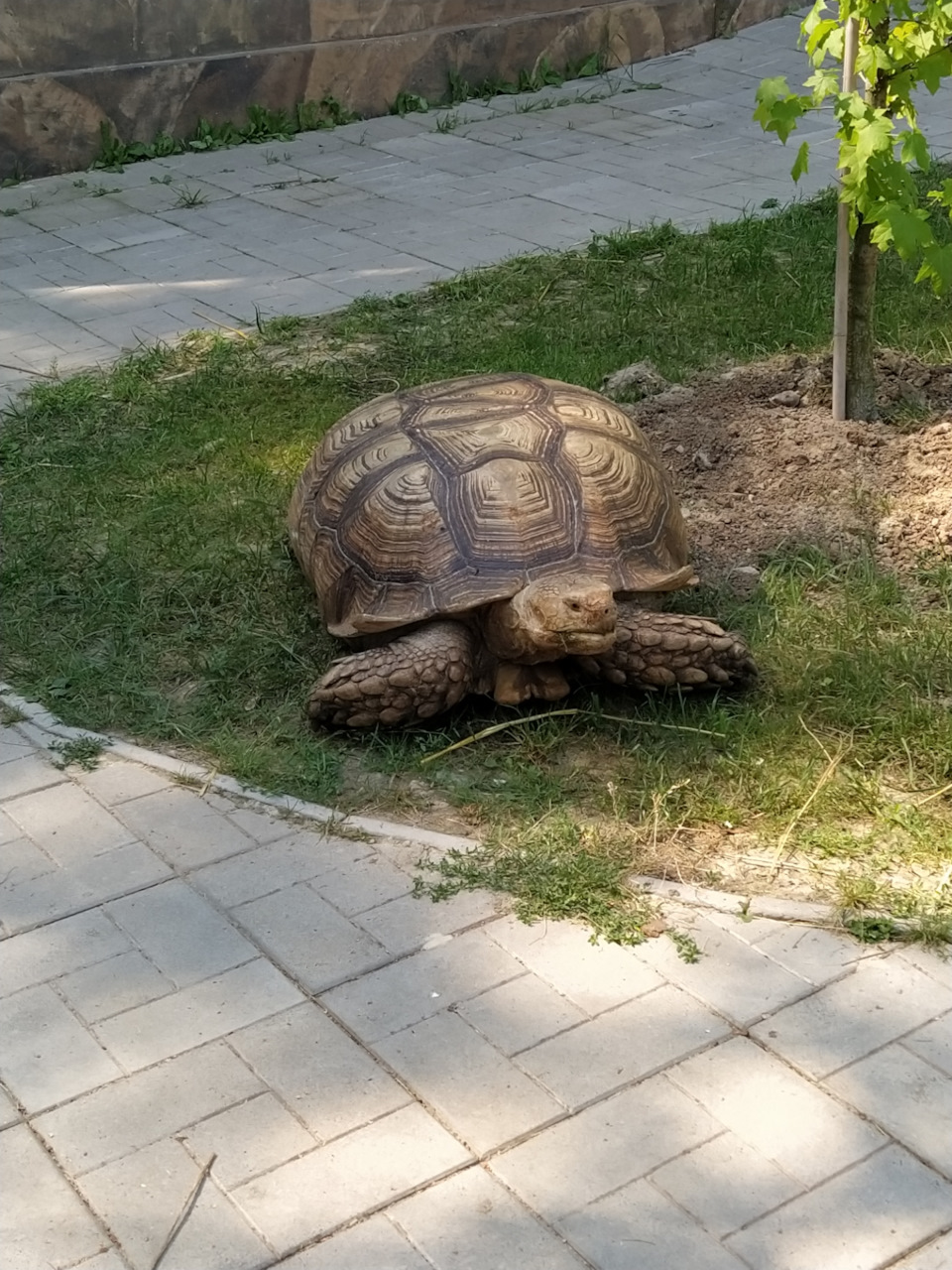 Поїздка до Харкова. 5