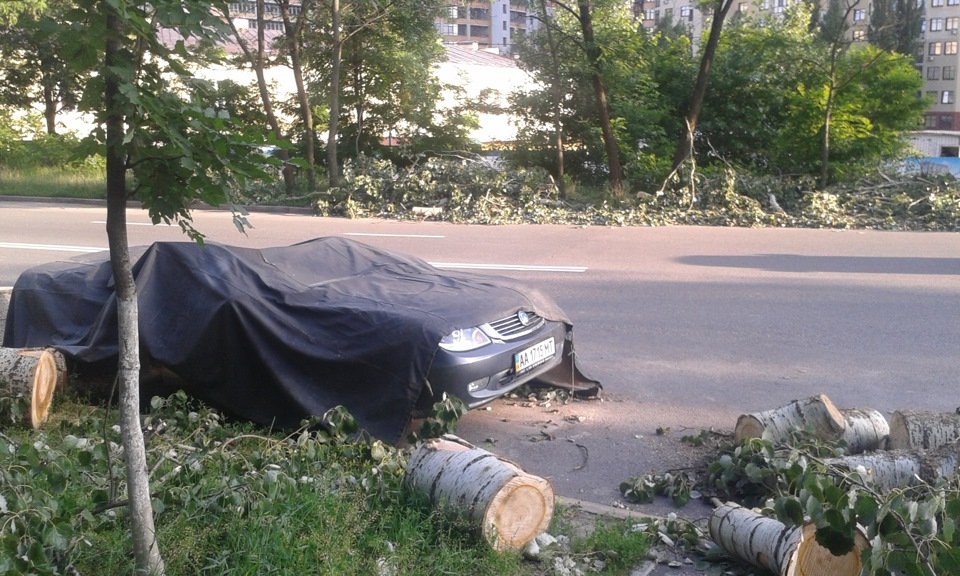 Їхав з роботи зустрів бідолаху( 1