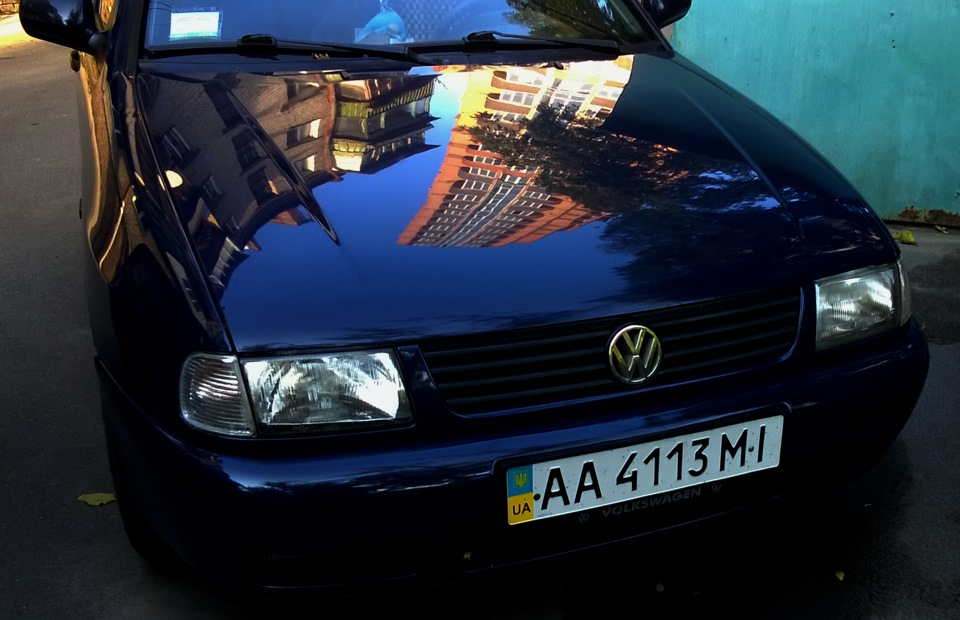 Мордочка classic 1