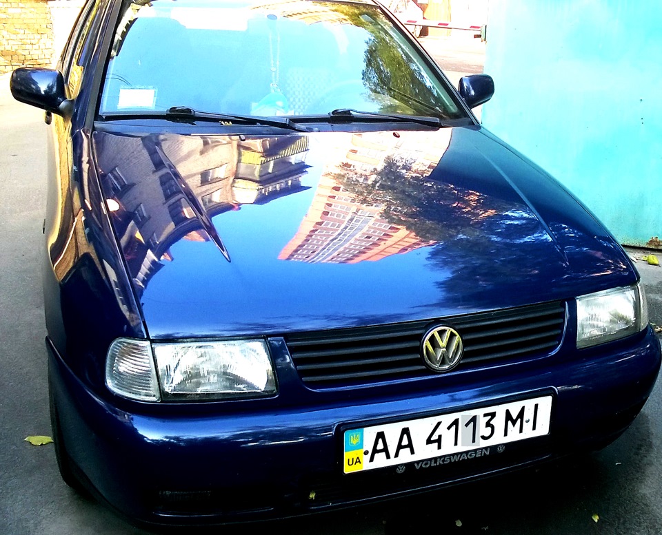 Мордочка classic 2