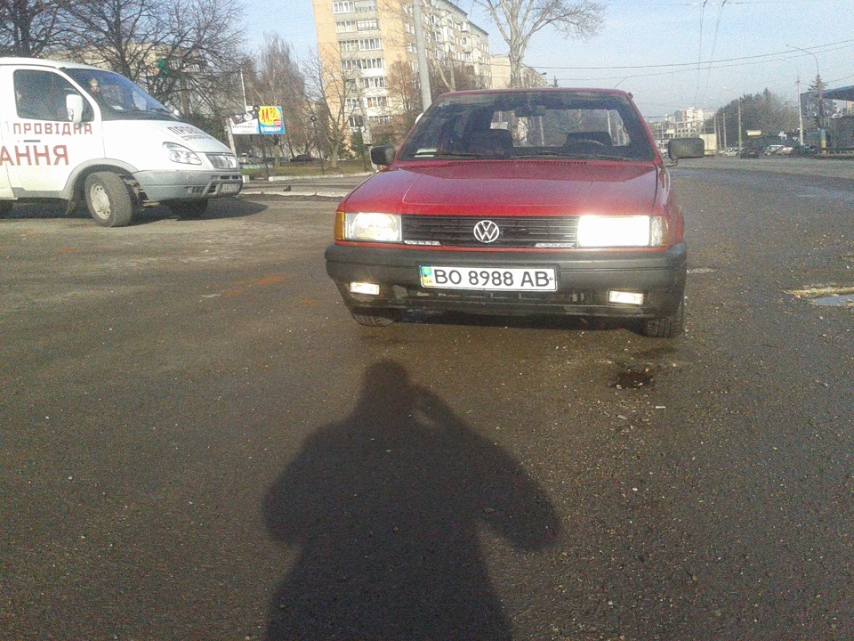Сьогодні 04.12.2015 а погода як навесні. Помивши свого тазика і ось вам кілька фоток 4