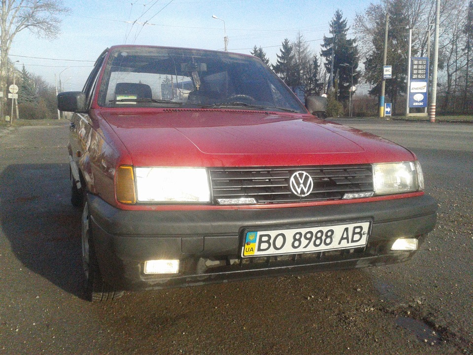 Сьогодні 04.12.2015 а погода як навесні. Помивши свого тазика і ось вам кілька фоток 3