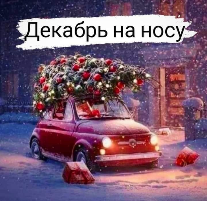 ❄️❄️❄️ 1