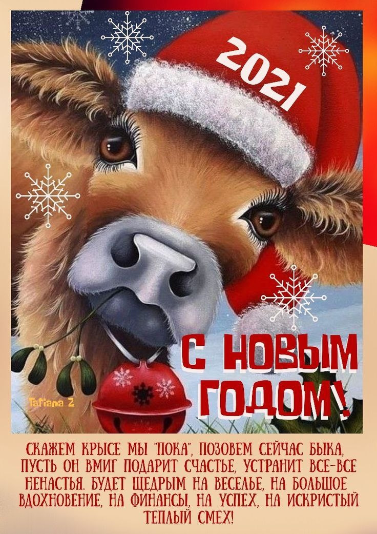 З наступаючим 2021 роком, друзі! 2