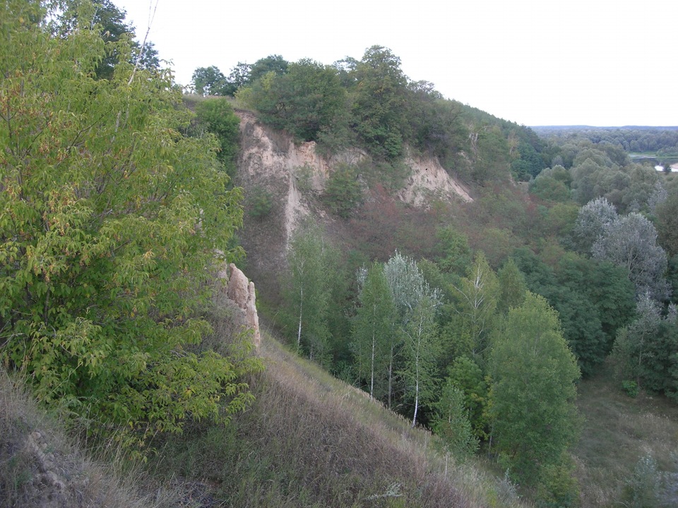 Чернігівська обл. Коропський р-н. з ВИШЕНЬКИ 2