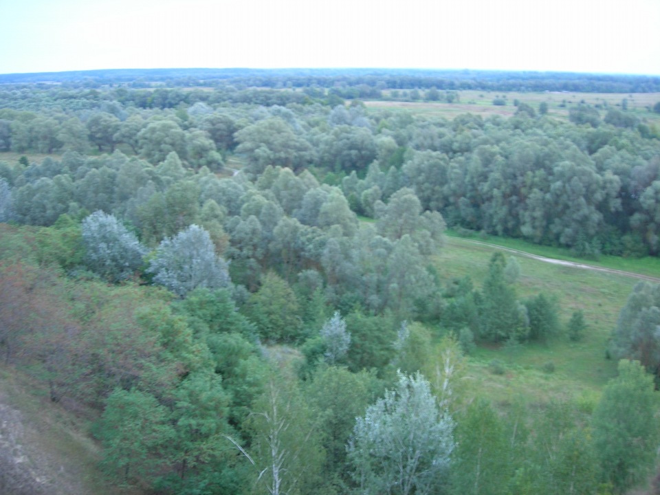 Чернігівська обл. Коропський р-н. з ВИШЕНЬКИ 5