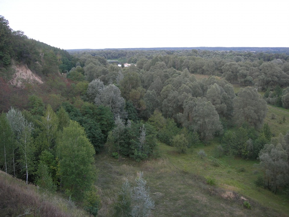 Чернігівська обл. Коропський р-н. з ВИШЕНЬКИ 3