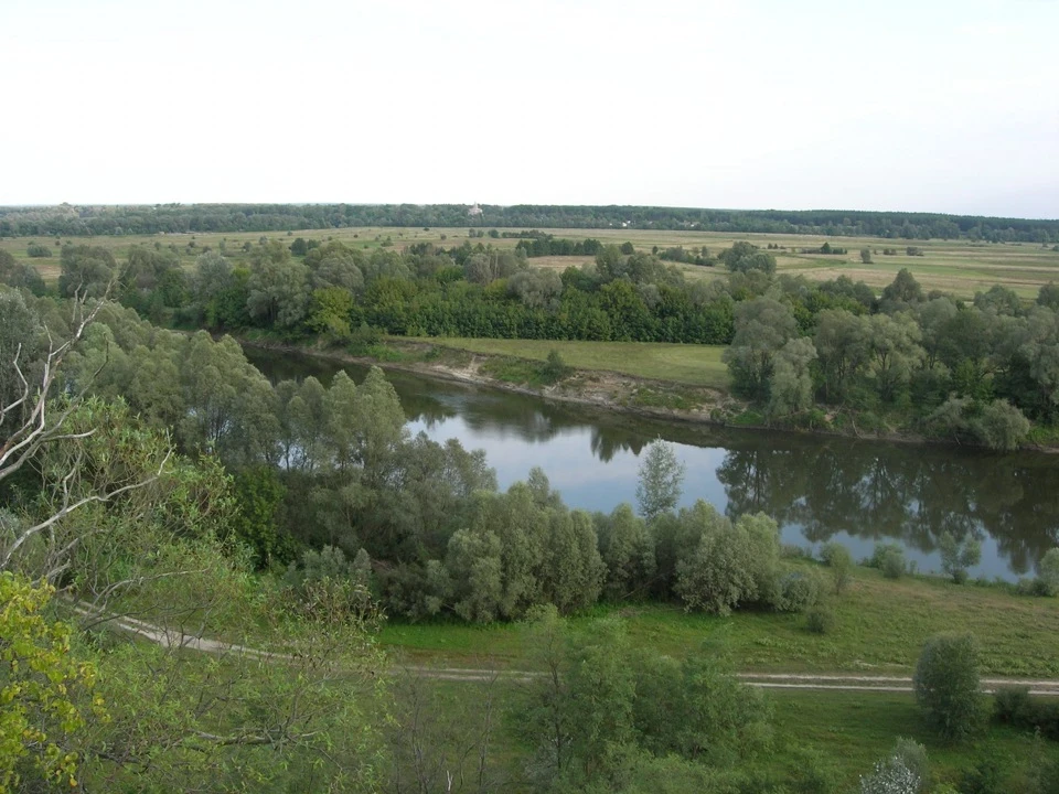Чернігівська обл. Коропський р-н. з ВИШЕНЬКИ