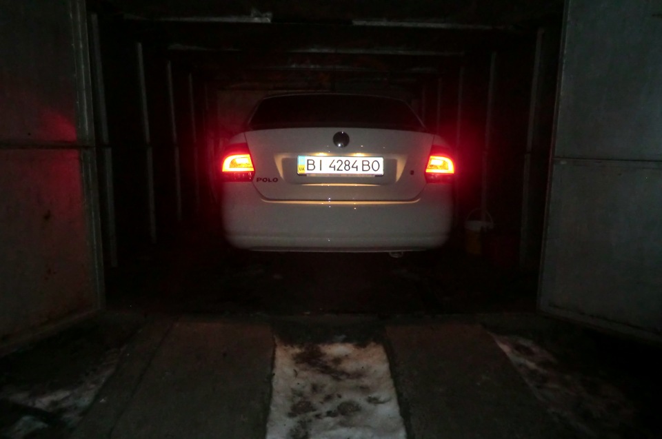 Перші фотографії 5