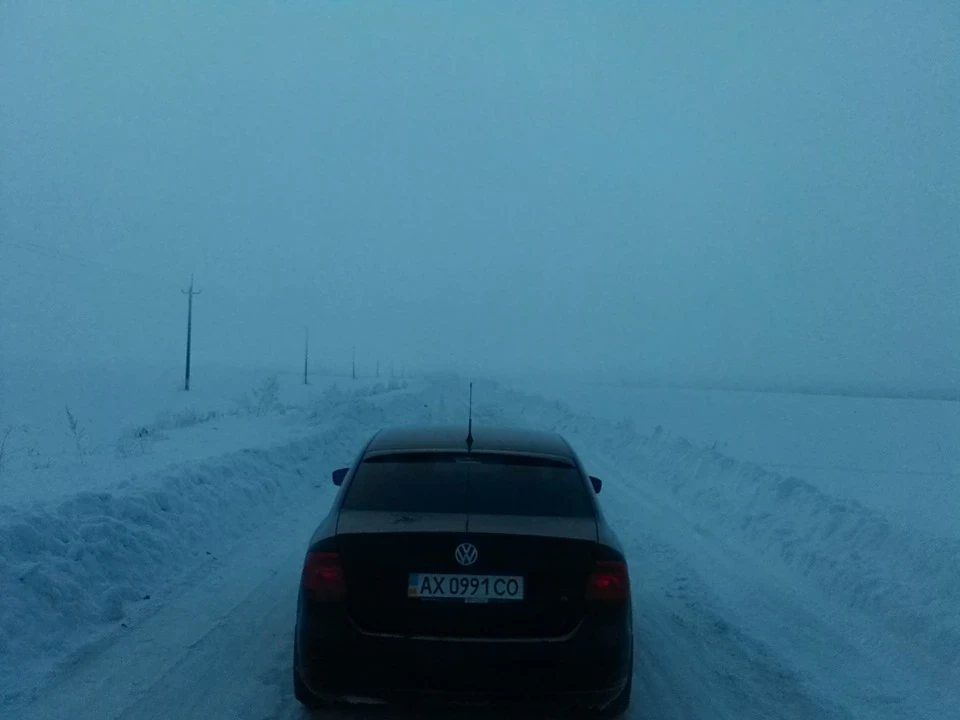 Фото серед Ялинок. Дорога на село Есхар