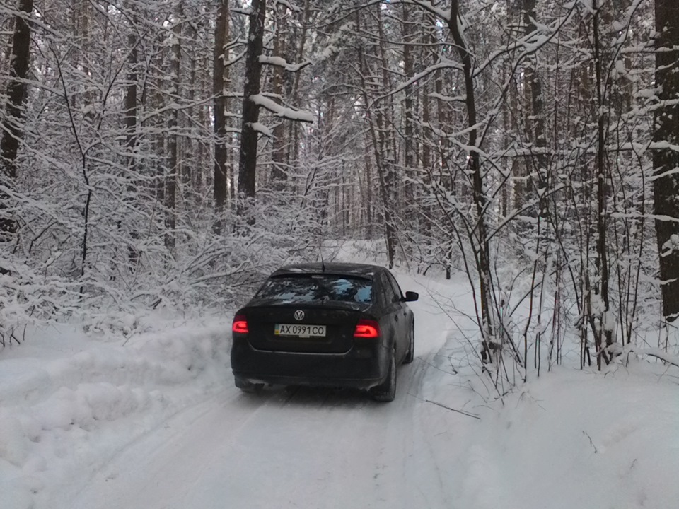 Фото серед Ялинок. Дорога на село Есхар 3