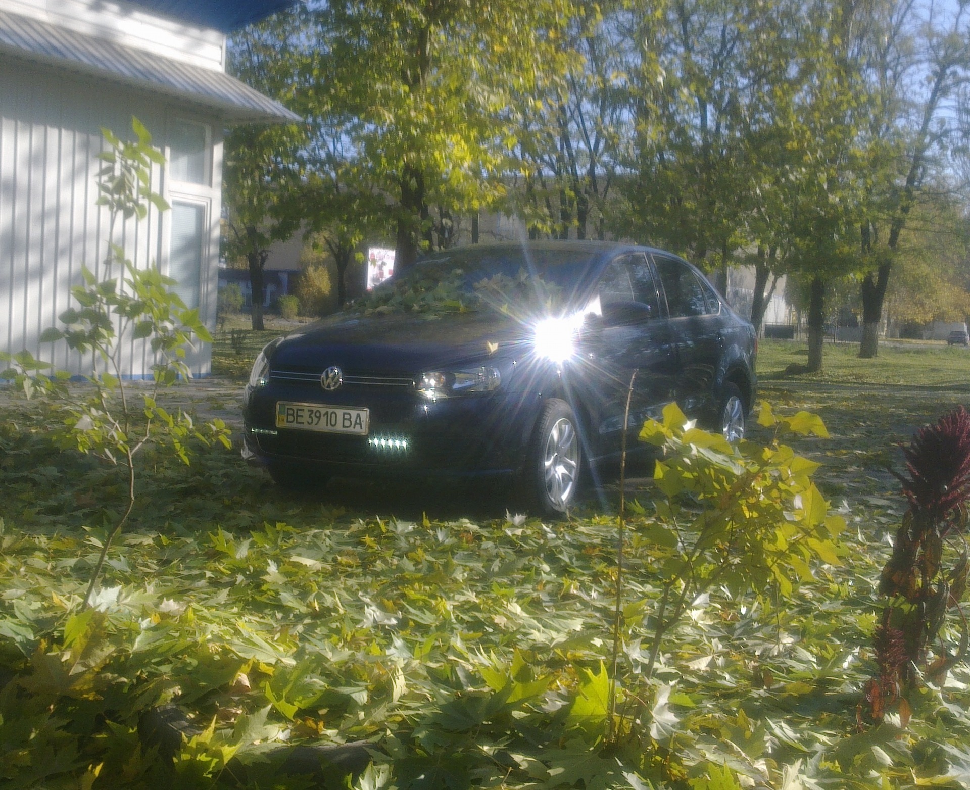 Запис, 8 листопада 2011 1