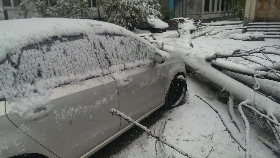 Lucky post, або як до нас прийшла весна 4