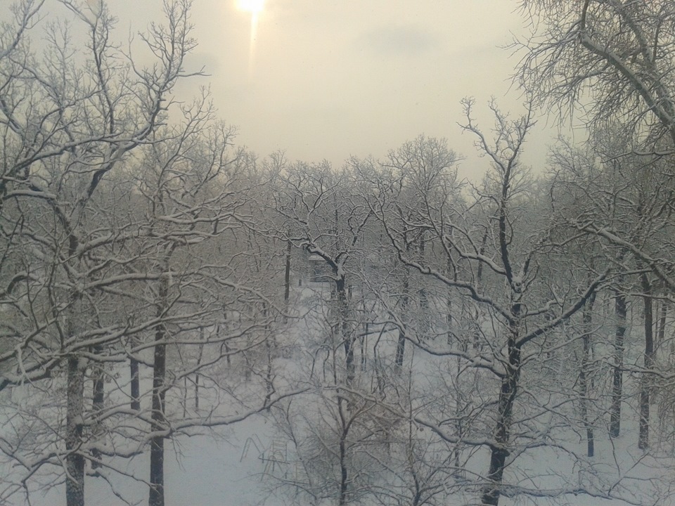 Поїздка на дачу, пару фоток 4